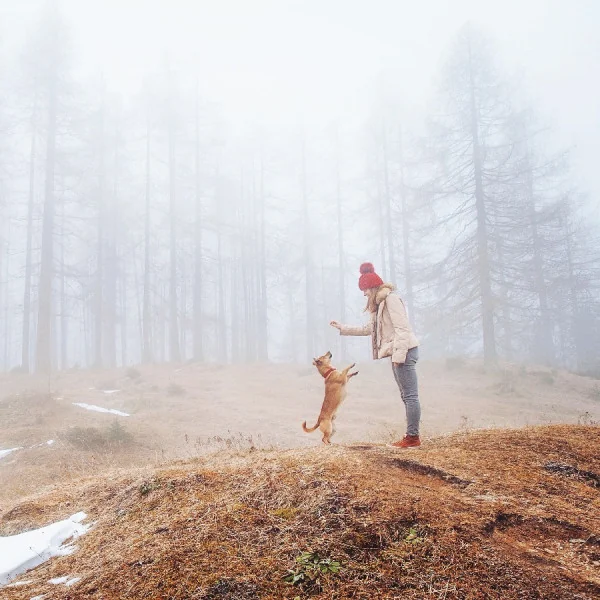 Toxins Magnify Thyroid Struggles - How to Clear Toxins Naturally and Support Your Thyroid