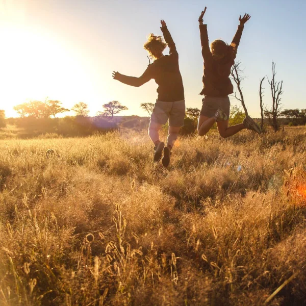 Sluggish Thyroid & Cholesterol | Wellness Resources